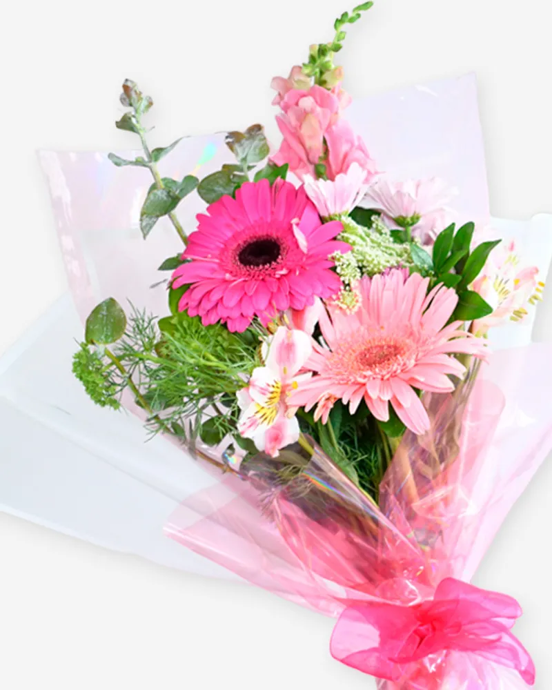 Ramo de 2 Gerberas con Astromelia (1)