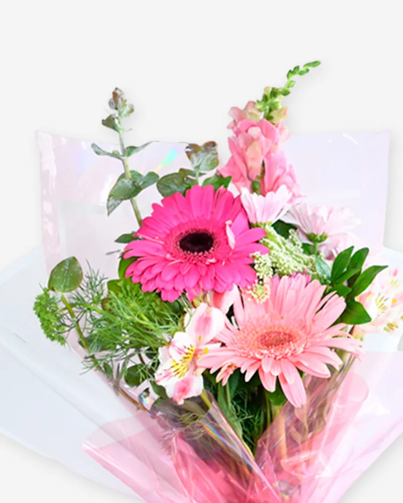 Ramo de 2 Gerberas con Astromelia______