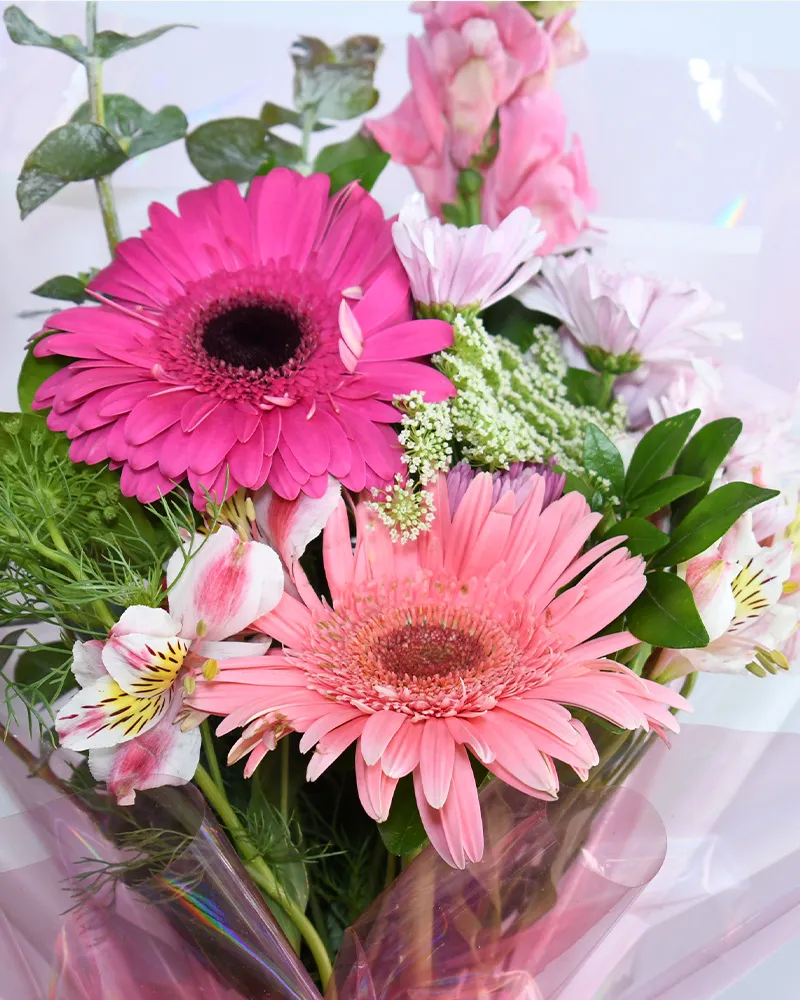 2 Gerberas con Astromelia – Ramo chico